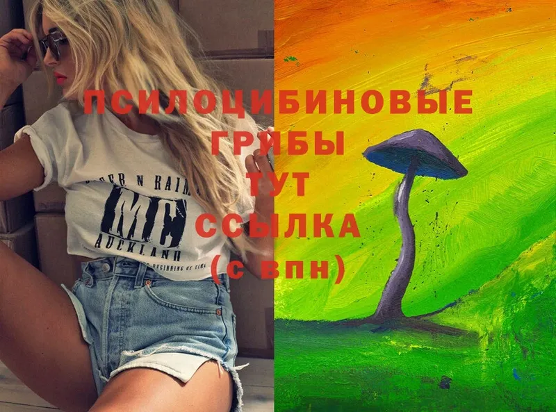 Галлюциногенные грибы Magic Shrooms Зима